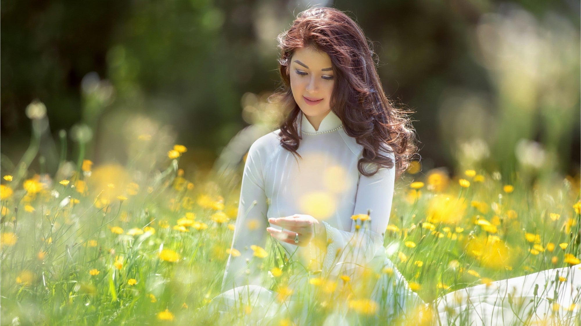 Why is the ao dai worn on important occasions?